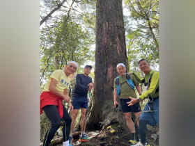 塔曼山之行大開眼界！千年神木映入眼前，自然界生命力完全彰顯...如阿凡達秘境，謝金河讚最美山徑